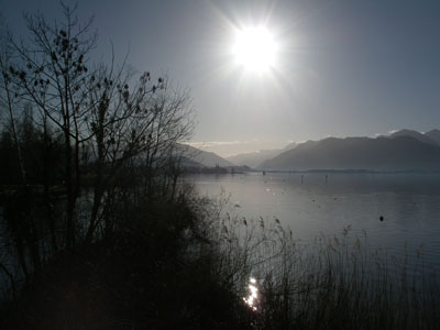 IMGP4622b.jpg