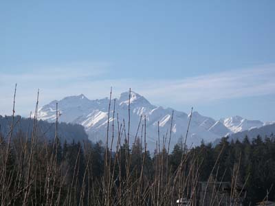 IMGP4544.JPG