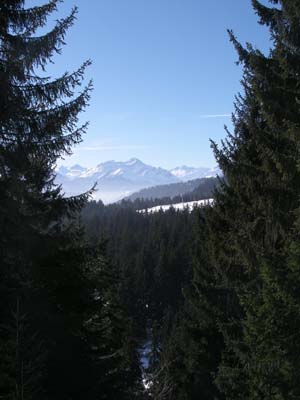 IMGP4547.JPG