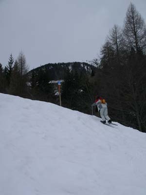 IMGP4596.JPG