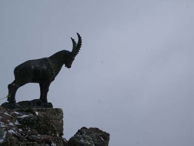 IMGP4610.JPG
