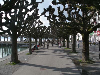 IMGP4674.JPG