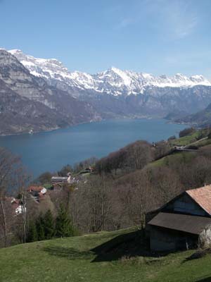 IMGP4730.JPG