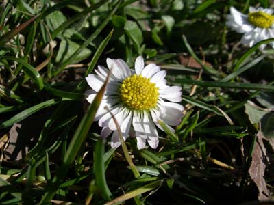 IMGP4753.JPG