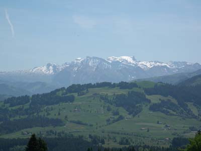 IMGP4922.JPG