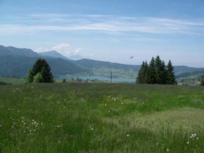 IMGP4925.JPG