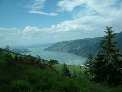 IMGP5254a.jpg