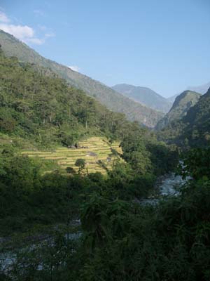 IMGP6907a.jpg