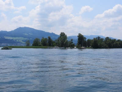 IMG_0595a.jpg