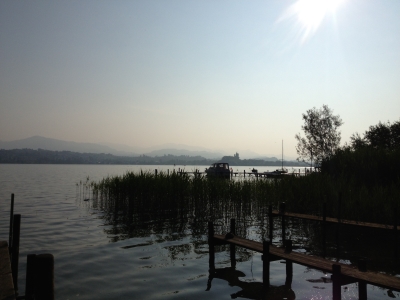IMG_2011a.jpg