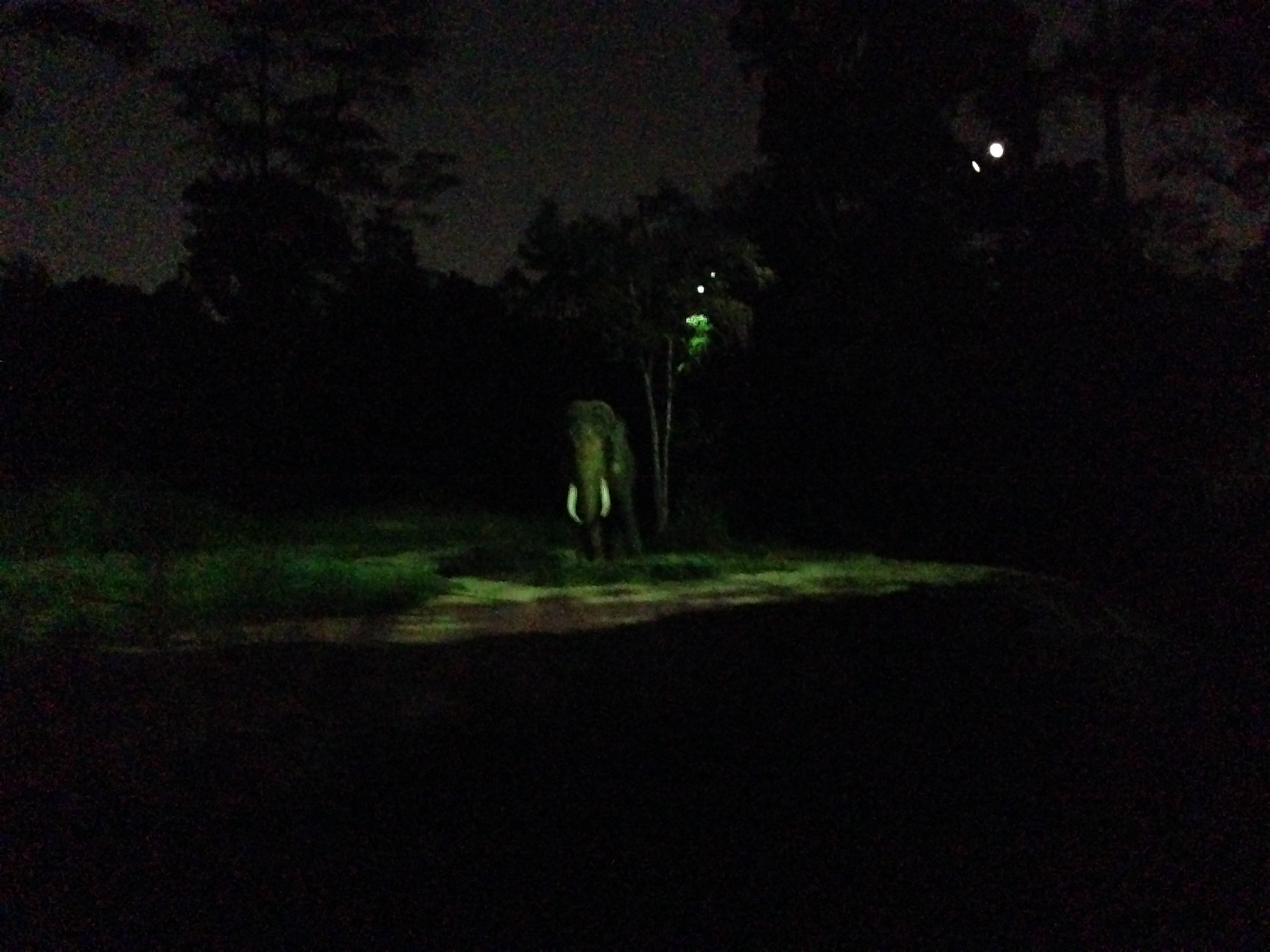 wp-1460643176099.jpeg image