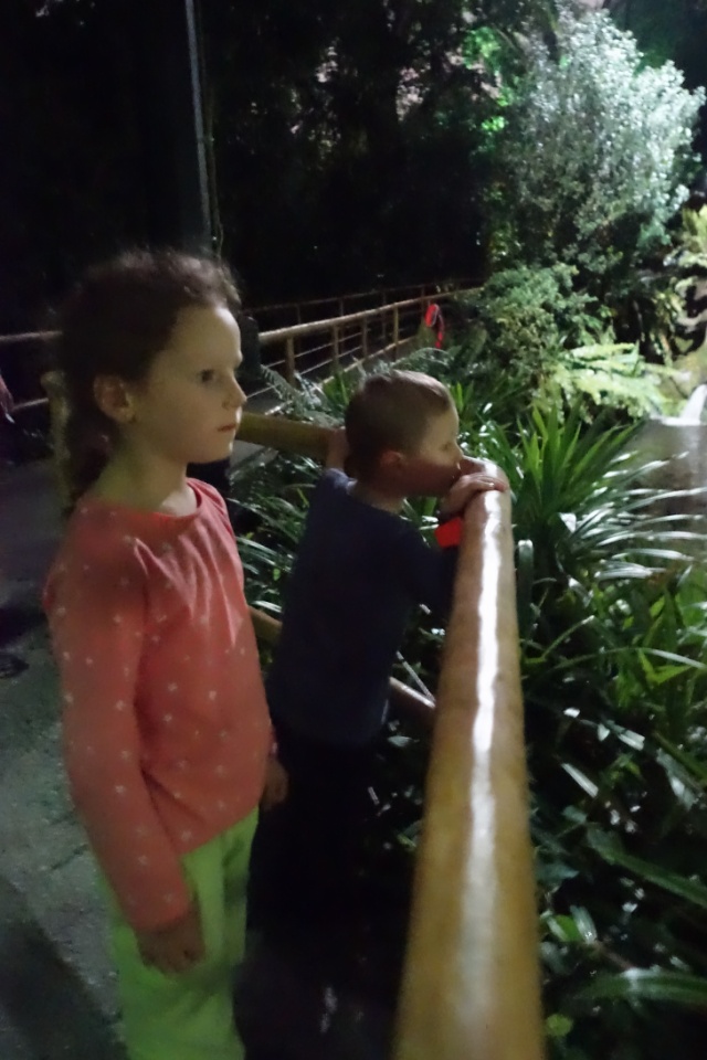 wp-1460644785918.jpeg image